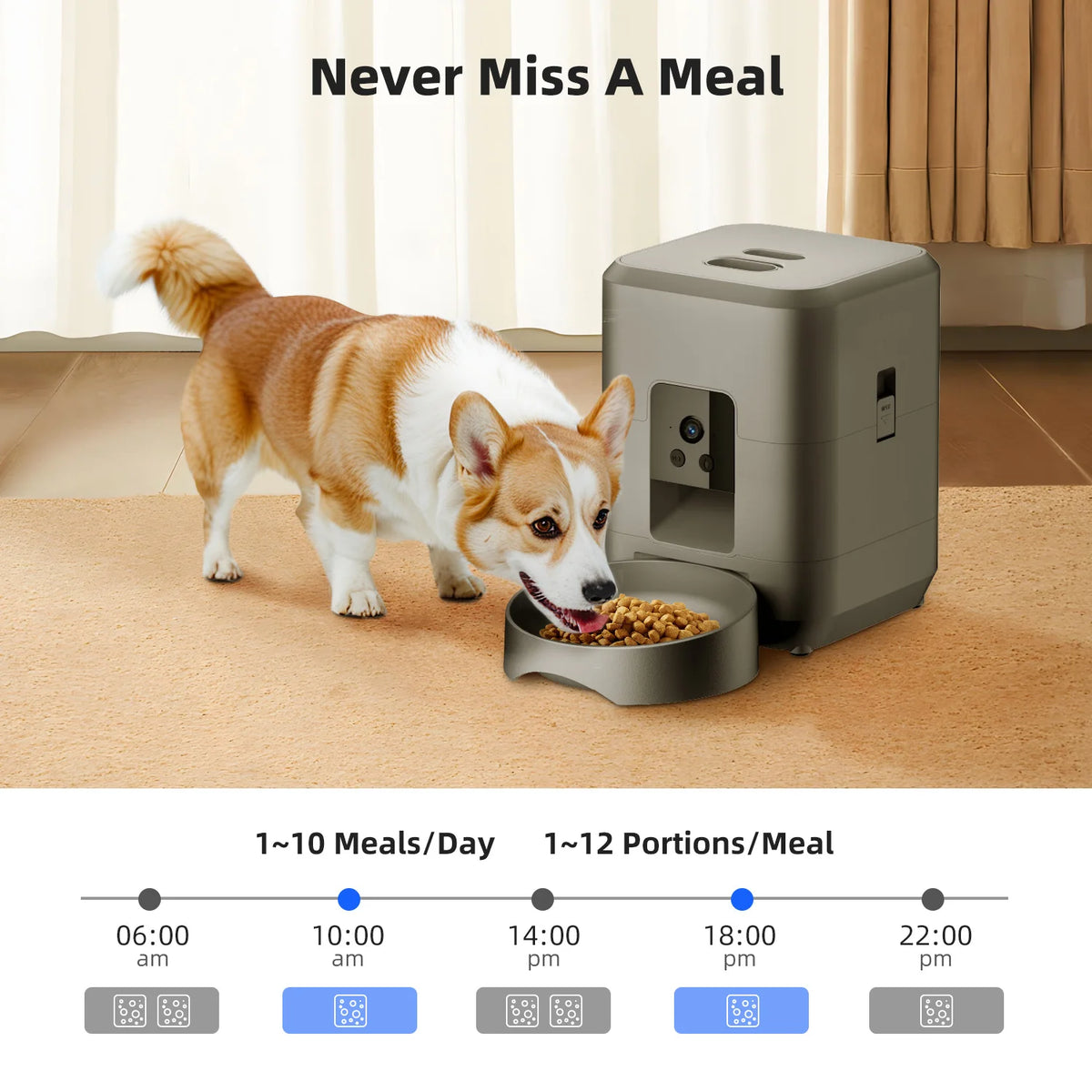 Smart Pet Feeder